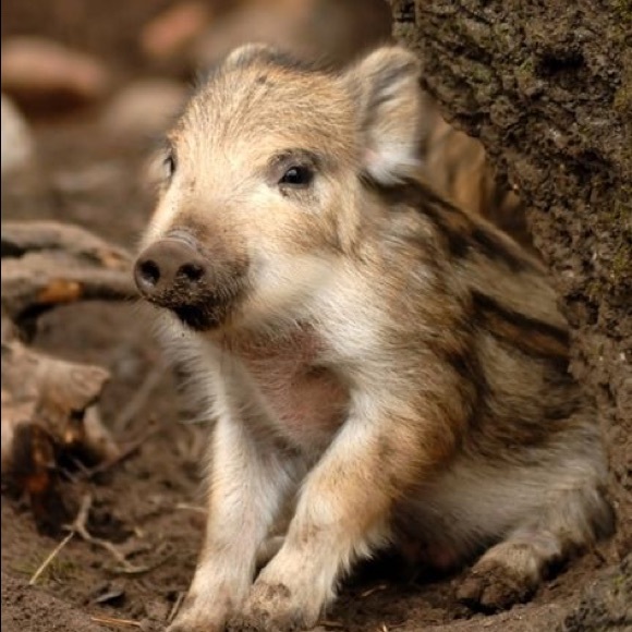 Accepting All Offers! - Picture 2 of 2